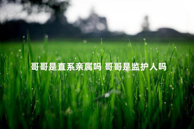 哥哥是直系亲属吗 哥哥是监护人吗